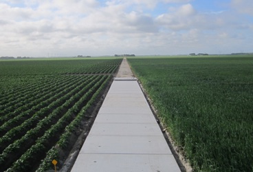 Kavelpadplaten